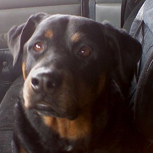 Meet your Posher, Nancie